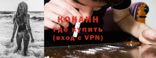 дживик Горняк