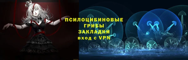 2c-b Горнозаводск