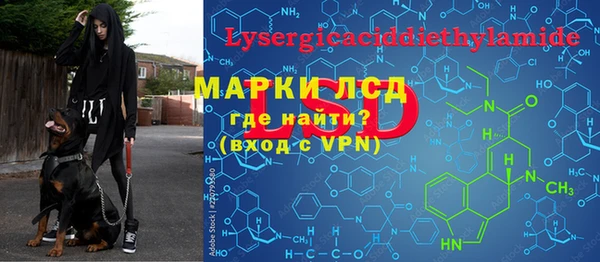 дживик Горняк