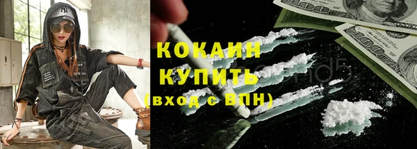 дживик Горняк